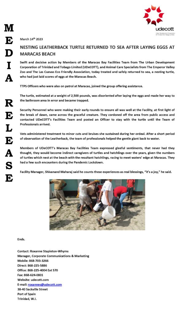 Media Release Nesting Leatherback Turtle Returned To Sea After Laying